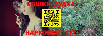 крисы Будённовск