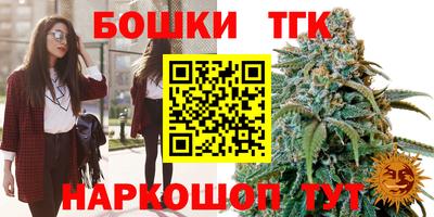 крисы Будённовск