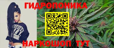 крисы Будённовск